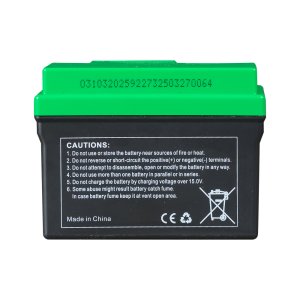 Аккумулятор FUBAG li-ion 3Ah для инверторного генератора TI 11000 A ES (арт. 646211) купить в Чебоксарах